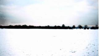 Galaxie 500 - Snowstorm