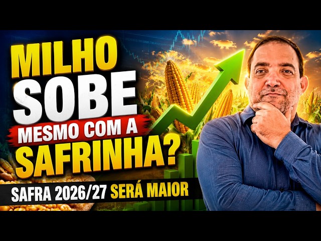 Milho sobe mesmo com a safrinha? Safra 2026/27 será maior