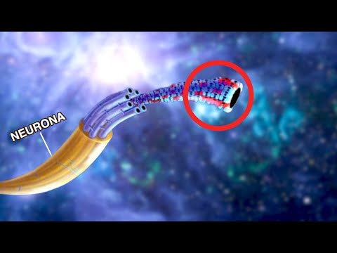 Have We Found the Origin of Consciousness?