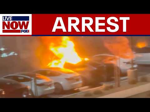 Video | Tesla attack in Las Vegas: Suspect arrested | LiveNOW from FOX