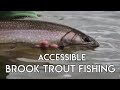 Accessible Brook Trout Fishing | Rivers & Lakes