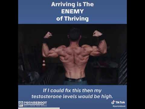 Why Arriving Is The Enemy of Thriving | Pornography Addiction Is There Hope ?