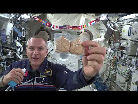 Expedition 59  In Flight Interview with David Saint Jacques May 6, 2019