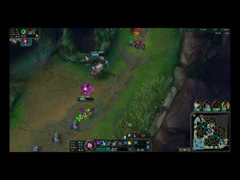 neeko is adc