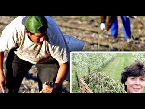 Reportaj din Iadul românilor din Germania. Detalii absolut șocante. VIDEO