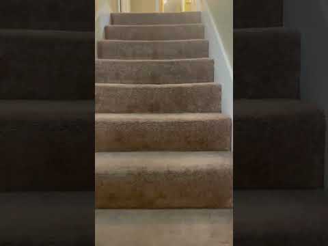 Bradford Trace - Video 2 of 2