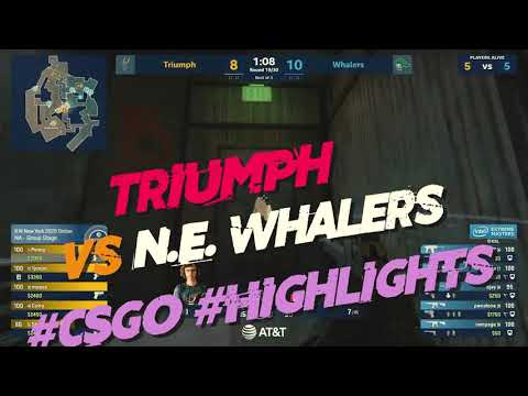 Triumph vs New England Whalers - IEM New York 2020 - Highlights | #CSGO #Highlights #BEST MOMENTS