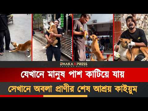 মানুষের শহরে অবলা প্রাণীর কান্না! কাইয়ুমের অবিশ্বাস্য মানবতার গল্প