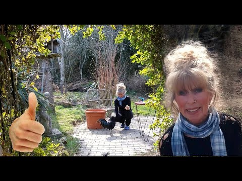 B29 - Garten-Zwerghuhn-Blog / Zwerghühner verschiedene Rassen