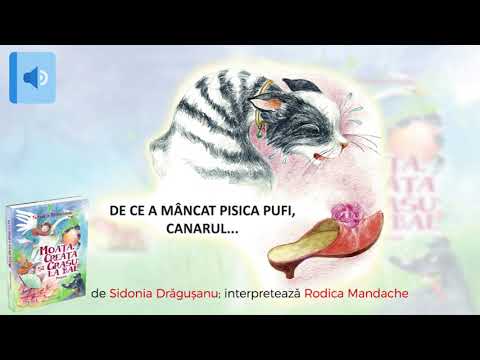 De ce a mâncat pisica Pufi canarul - de Sidonia Dragusanu - poveste audio