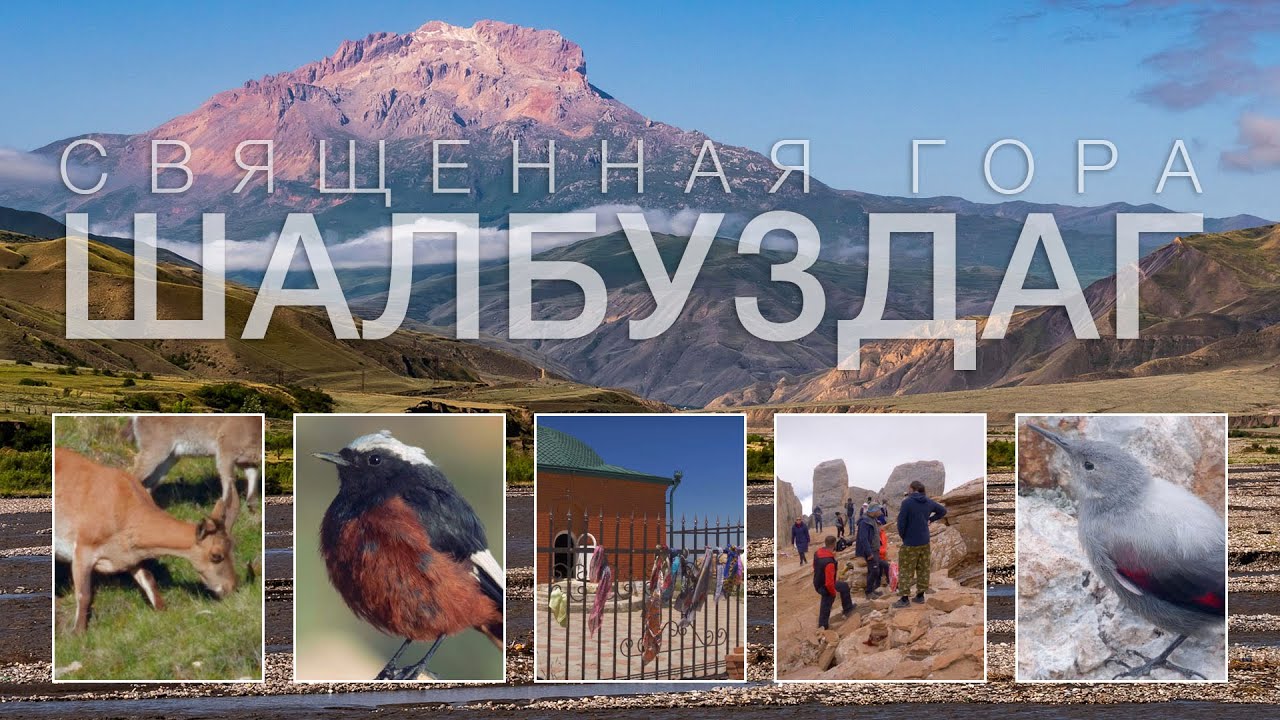 Гора Шалбуздаг