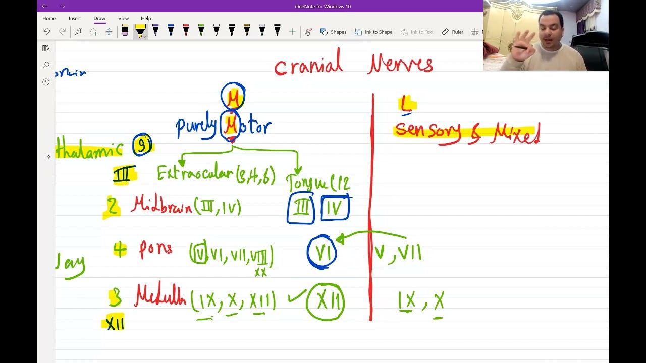 7. Basics of Neuroanatomy for USMLE - (Free trial Link in Description Below)