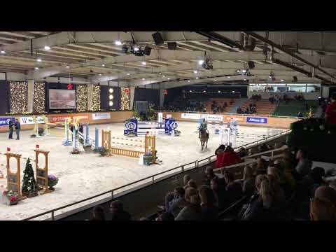 FOREVER - Mario Piasecki Sporthorses -  Salutfestival 2018