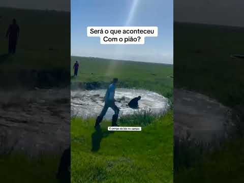 olha o que aconteceu com este cavalo