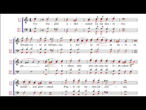 cu trupul adormind m.Ionafan