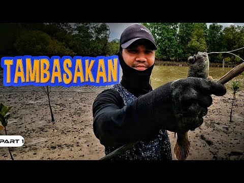 P1-MUDSKIPPERS Catch and Cook - EP1027