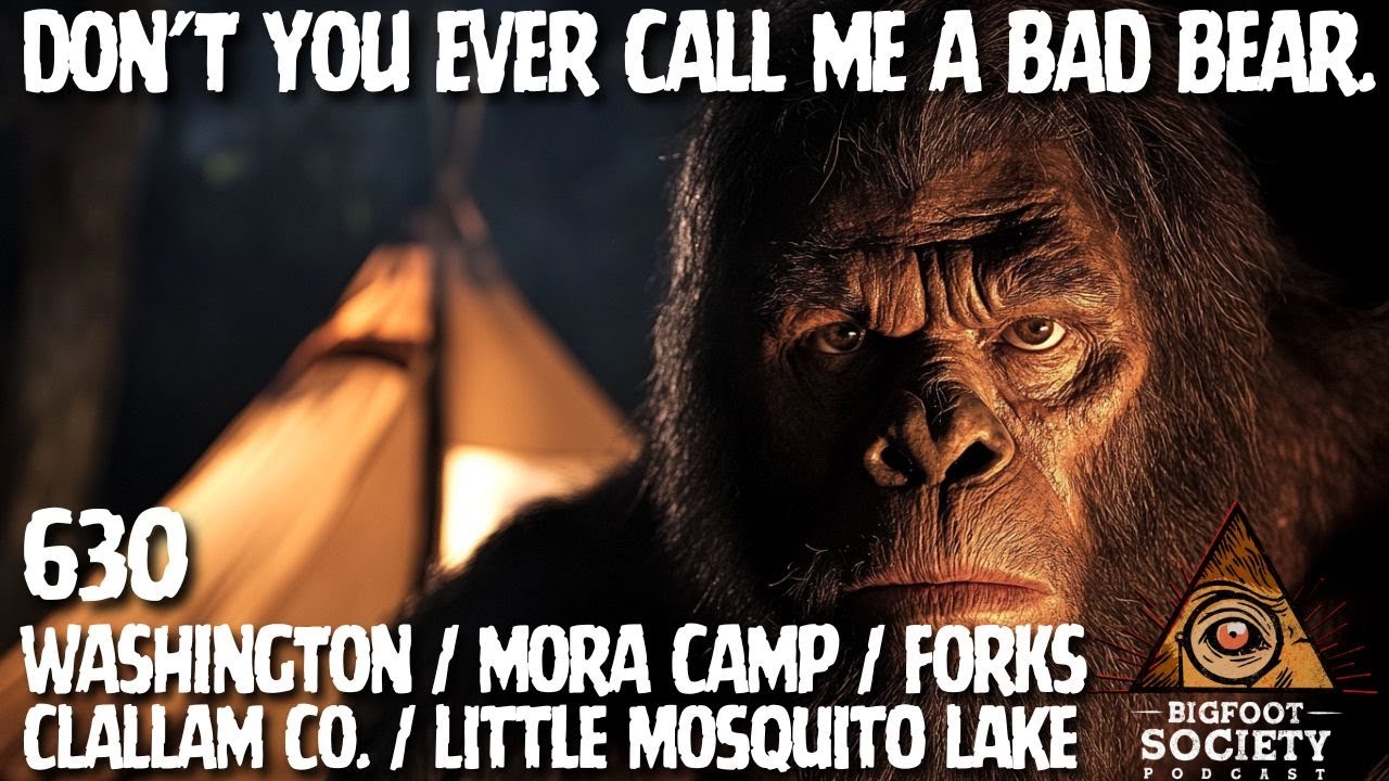 It Reached Into My Tent! | Washington
