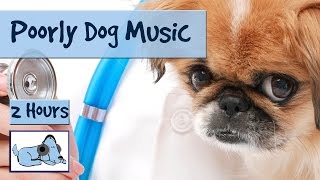 2 Hours of Music for Ill or Stressed Dogs. Musical Therapy for Pets. 🐶 #POORLY04