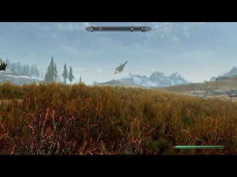 He was taken to Akatosh