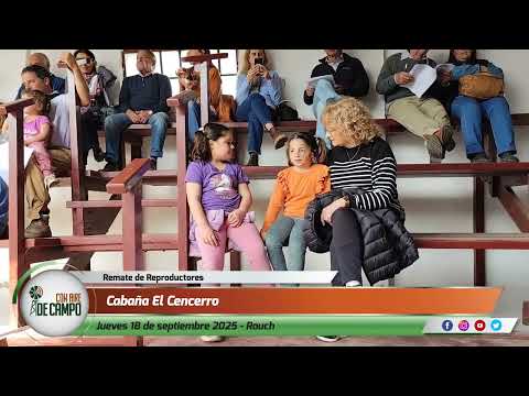 Resumen del remate de Cabaña El Cencerro - Jueves 18/09/2025 - Rauch
