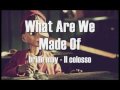 What Are We Made Of - Lyrics 