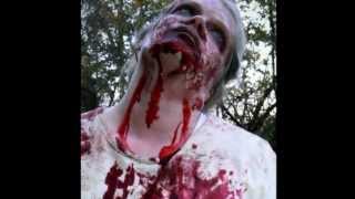 preview picture of video 'Eureka Springs Zombie Invasion 2012'