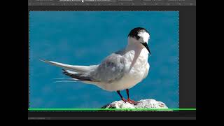 Set Up Correct File Size