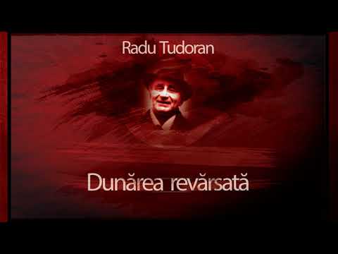 Dunarea revarsata (1983) - Radu Tudoran #teatruaudio #teatruradiofonic #teatruonline #teatruvechi