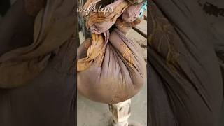 Vinayaka Chavithi Kosam Banka Matti Ready #shorts #ytshorts #diy #clay