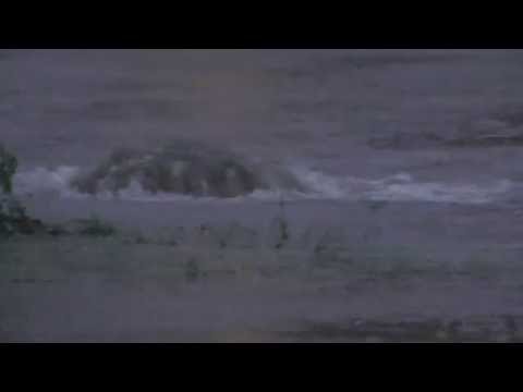 Trójmiasto pod wodą.