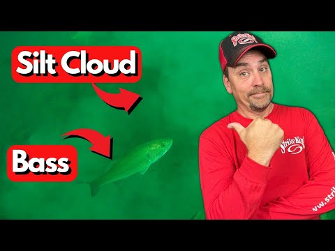 WATCH How Bass Use Silt Clouds - And WHAT We Can Learn as Anglers