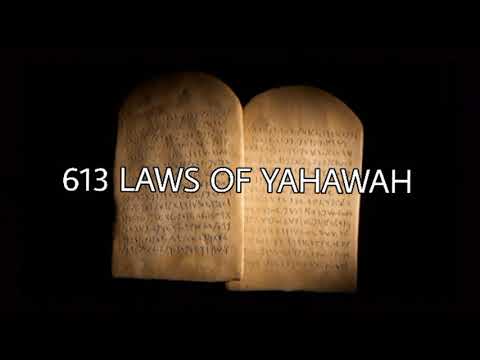 613 LAWS OF YAHAWAH PT.2
