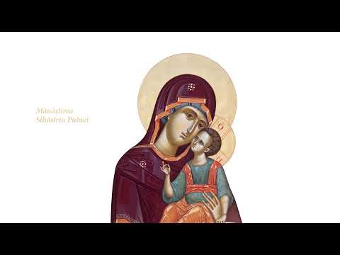 Sihastria Putnei In Direct