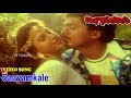 సాయంకాలే చందనం వీడియో సాంగ్ బంగారు మ�