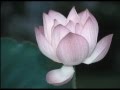 Sheila Chandra - Shanti, Shanti, Shanti 