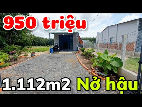 Bán nhà vườn 1.112m2 nở hậu mới xây 6 tháng giá 950 triệu gần Chợ An Cơ xã Hảo Đước Tây Ninh