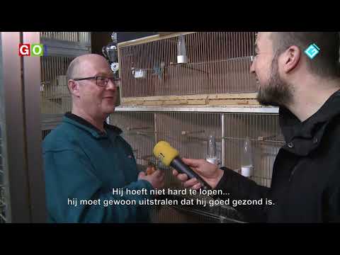 Dit is mien hobby afl 2 met Jaap Buze - RTV GO! Omroep Gemeente Oldambt