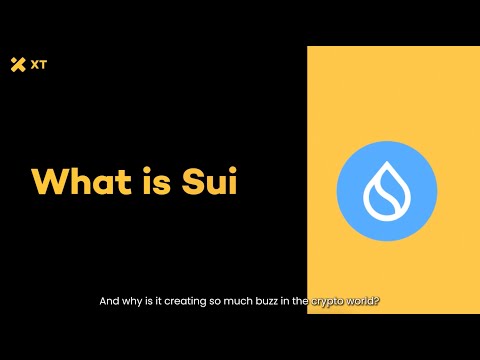 What is Sui - A Beginner's Comprehensive Guide