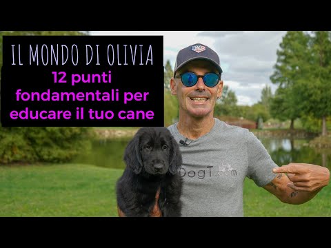12 punti fondamentali per educare il tuo cane, Il mondo di Olivia