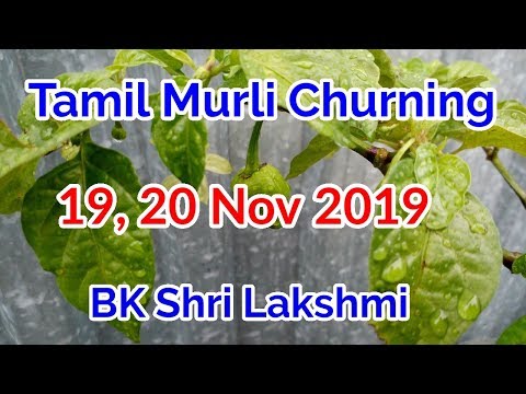 Tamil Murli Churning 19, 20 November 2019 - BK Shri Lakshmi