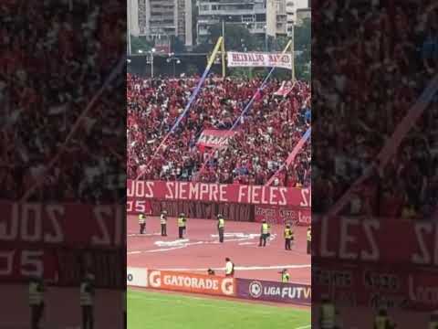 "Caracas FC Fans #caracasfc #hinchada #futbol" Barra: Los Demonios Rojos • Club: Caracas