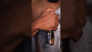 Download lagu Handsome bodybuilder shaves hairy chest mp3