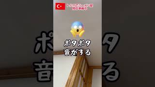 ラーメン屋開店予定3日前に水漏れ😭 #トルコ #shorts #ありえない #水漏れ #海外生活 #海外在住