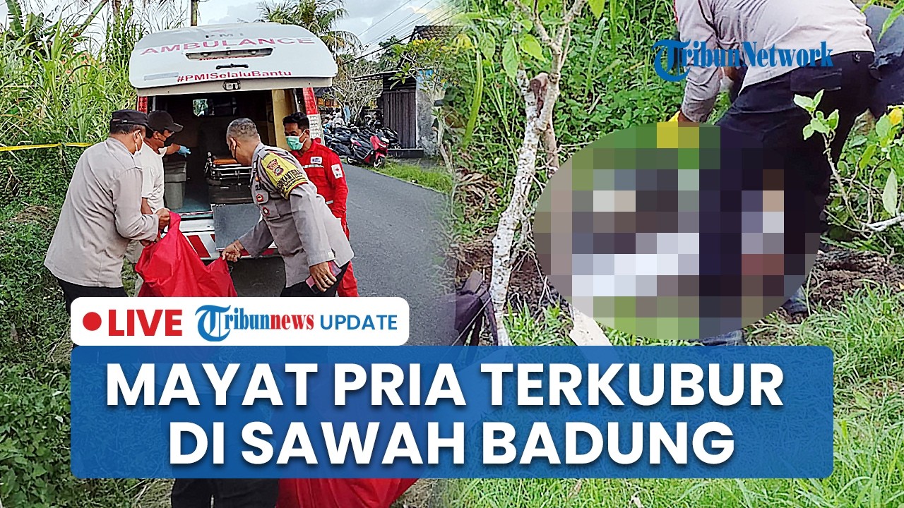 LIVE: Mayat Pria Terkubur di Sawah Badung, Dibunuh Eks Rekan Kerja Gegara Sakit Hati Kerap Dibully