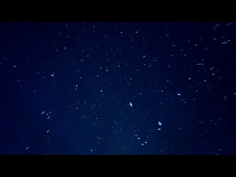 Футаж Снегопад. Красивый Снегопад Ночью. Футаж Снег Идет Ночью. Видеофутажи. Футажи для видеомонтажа