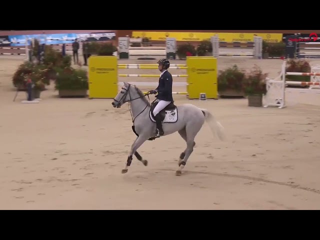 Half-brother of this Implanted embryo is the CSI 1.45m horse Figuier du Roc with rider Fumero Hernandez.