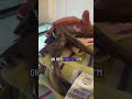 My Octopus Tells Me She S Hungry And Gets Some Pets