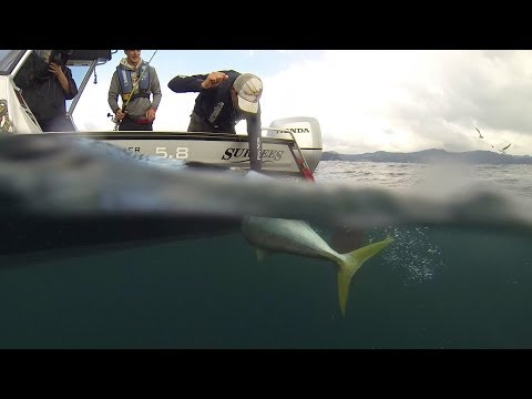 Fishing and Adventure Season 2 Episode 10 - Wharekawa Part 2