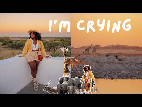 Bucket List Trip to Namibia: Part 1 - Etosha National Park and Damaraland