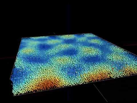 基礎理工学科 The simulation of the Rayleigh-Benard convection by coupled particle map method.